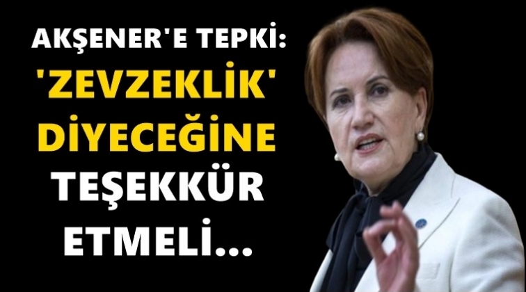 Akşener'e 'Zevzeklik' tepkisi...