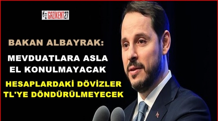 Albayrak'tan döviz açıklaması