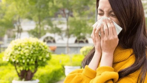 Alerjik hastalıkları olanlar için 'polen' uyarısı: Belli saatlerde dışarı çıkmayın, pencer