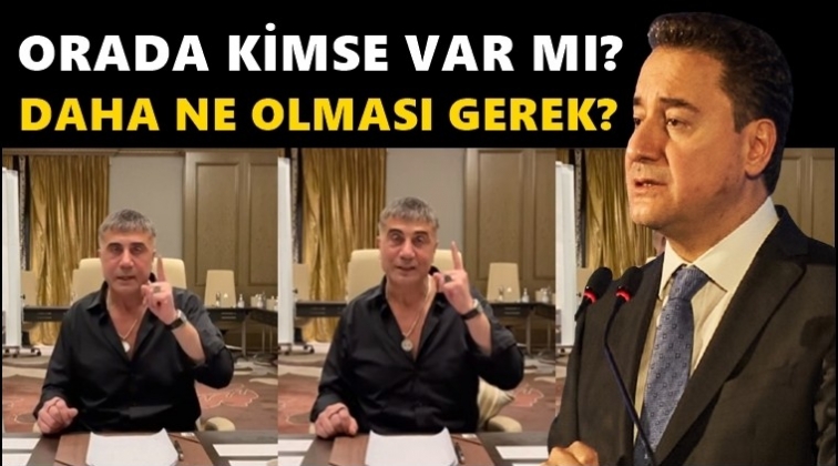 Ali Babacan: Daha ne olması gerekiyor?