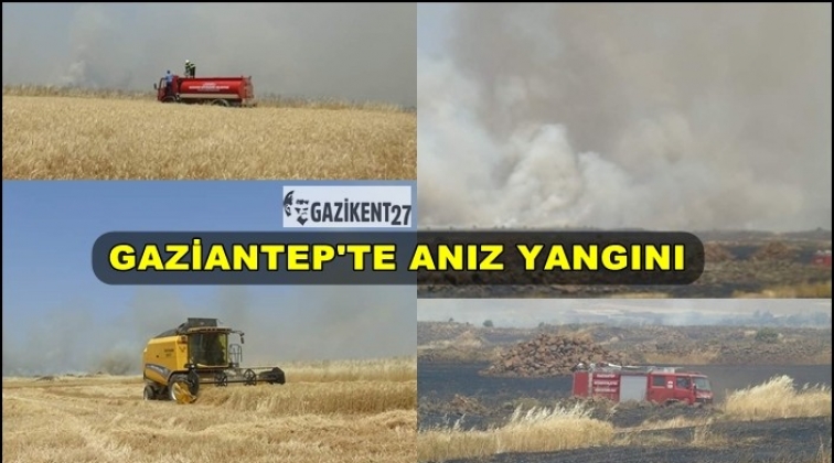 Anız yangınlarına dikkat!