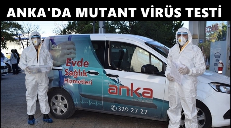 ANKA&rsquo;da mutant vir&uuml;se karşı g&uuml;venilir test