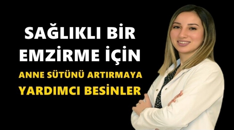 Anne s&uuml;t&uuml;n&uuml; artıran besinler...