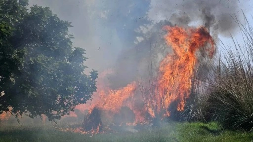 Antalya'da yangın paniği: Evler tahliye edildi!