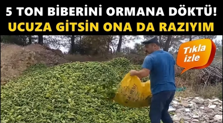 Antalyalı &ccedil;ift&ccedil;i 5 ton biberini ormana d&ouml;kt&uuml;!