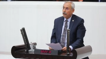Antepfıstığı &uuml;reticilerinin sorunları Meclis g&uuml;ndeminde
