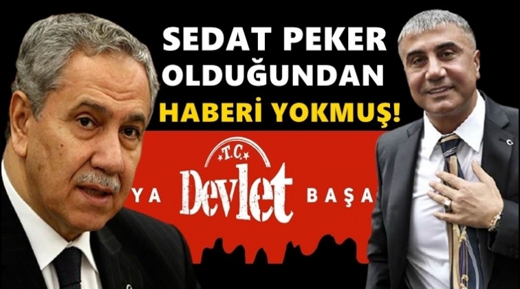 Arın&ccedil;: Sedat Peker olduğundan haberim yoktu!