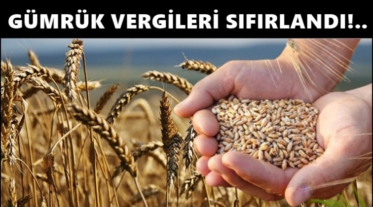 Arpa, buğday ve mısırda vergiler sıfırlandı