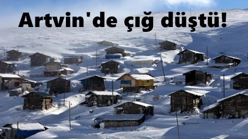 Artvin'de &ccedil;ığ d&uuml;şt&uuml;: Mahsur kalan &ccedil;obanlar var!