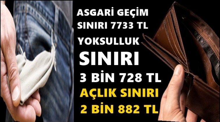 Asgari ge&ccedil;im sınırı: 7 bin 733 TL