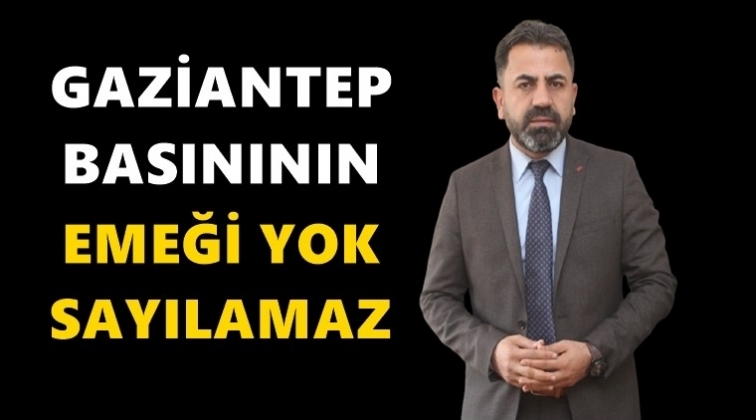 Aslan: &Ccedil;alışan gazeteciler destek bekliyor