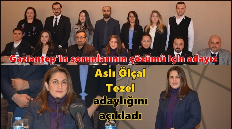 Aslı &Ouml;l&ccedil;al Tezel, Mimarlar Odası'na aday