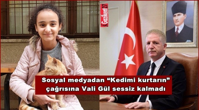 Azra kedisine kavuştu, sıra hayalini ger&ccedil;ekleştirmede