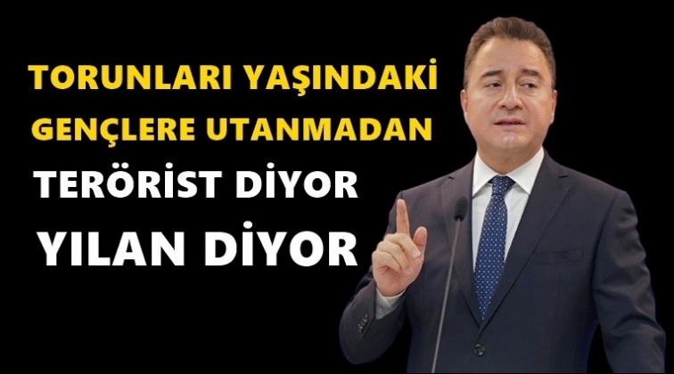 Babacan: Boğazi&ccedil;ililer tahrike kapılmamalı