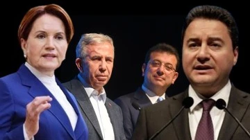 Babacan’dan Akşener’e ‘korkak’ tepkisi