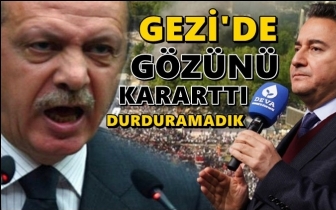 Babacan: Erdoğan Gezi&rsquo;de g&ouml;z&uuml;n&uuml; kararttı...