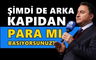 Babacan: Erdoğan, gölge boksu yapıyor!