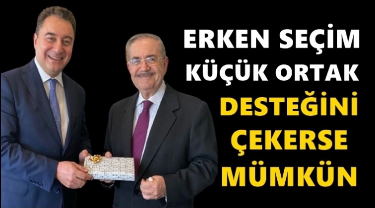 Babacan:  Se&ccedil;imlerin kaybedeni Erdoğan&rsquo;dır