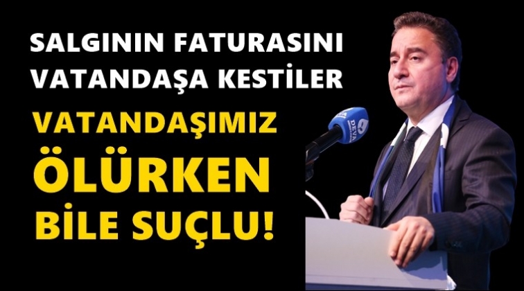 Babacan:&nbsp;Sorumlusu Saray y&ouml;netimidir