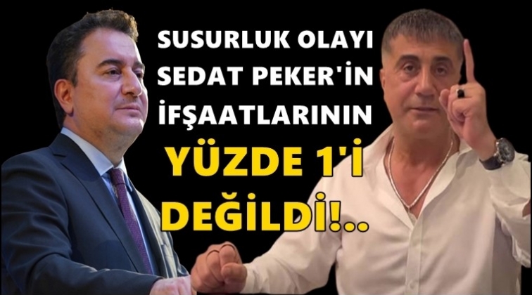 Babacan: Susurluk, Peker'in ifşaatlarının y&uuml;zde 1&rsquo;i bile değil!