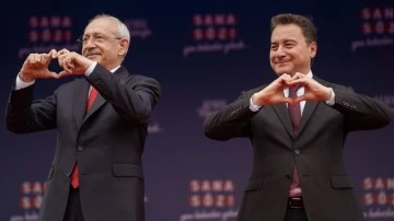 Babacan: Tereyağından kıl &ccedil;eker gibi olacak...