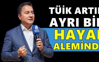 Babacan: T&Uuml;İK hayal aleminde...