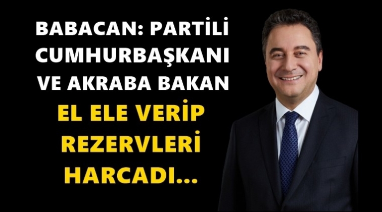 Babacan&rsquo;dan&nbsp;d&ouml;viz rezervi a&ccedil;ıklaması