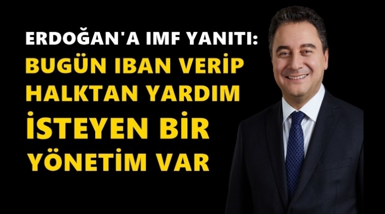 Babacan&rsquo;dan Erdoğan&rsquo;a IMF yanıtı!