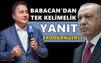 Babacan'dan Erdoğan'a tek kelimelik yanıt...