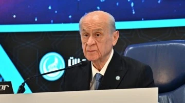 Bahçeli: Köpekler kaçar saat uyutulacak?