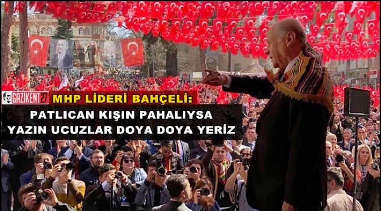 Bah&ccedil;eli: Patlıcan kışın pahalıysa yazın yeriz