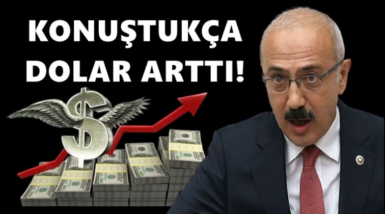 Bakan Elvan konuştuk&ccedil;a dolar arttı!