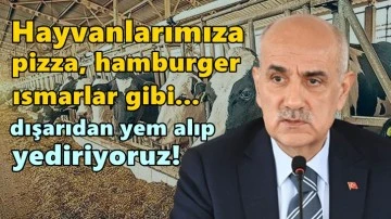 Bakan Kiriş&ccedil;i: Hayvanlarımıza pizza, hamburger...