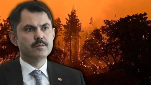 Bakan Kurum açıkladı: 4 ilde yangınlarda acı tablo