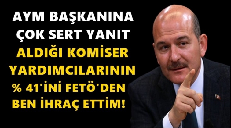 Bakan Soylu&rsquo;dan AYM Başkanı&rsquo;na yanıt