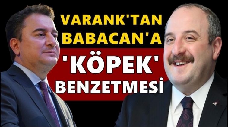 Bakan Varank'tan Babacan'a &lsquo;k&ouml;pek' benzetmesi!