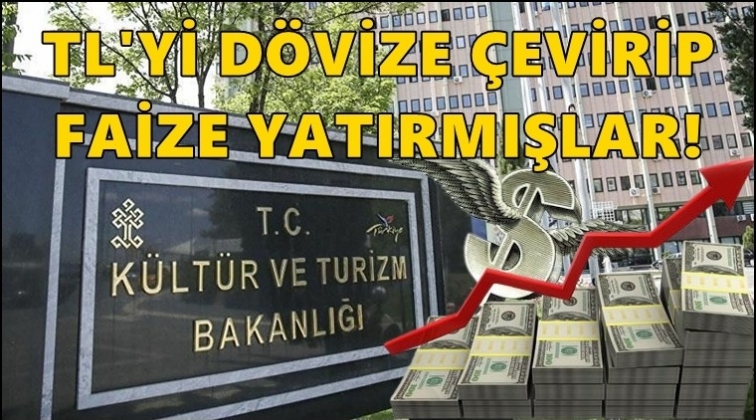 Bakanlık TL'yi d&ouml;vize &ccedil;evirip faize yatırmış!