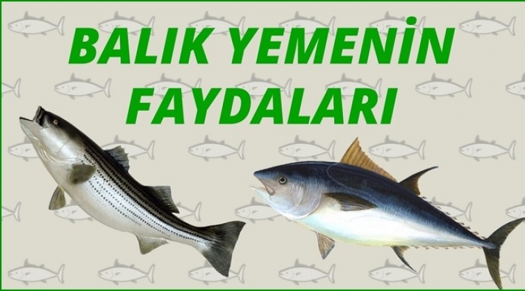 Balığın 10 yararı