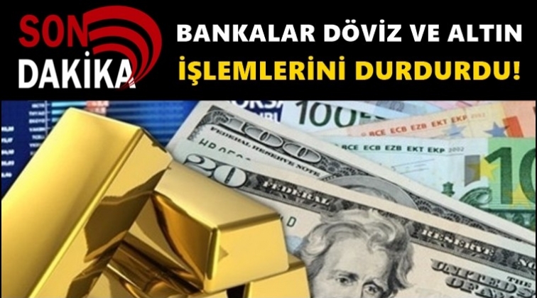 Bankalar d&ouml;viz ve altın işlemlerini durdurdu!
