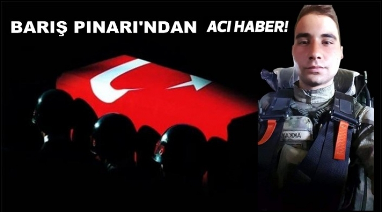 Barış Pınarı Harekatı&rsquo;nda acı haber