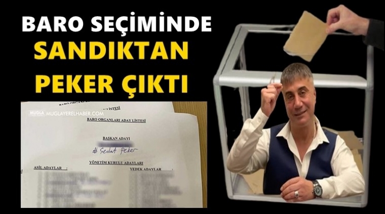 Baro seçiminde sandıktan 'Sedat Peker' çıktı!