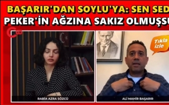 Başarır: Sedat Peker&rsquo;in ağzına sakız olmuşsun!