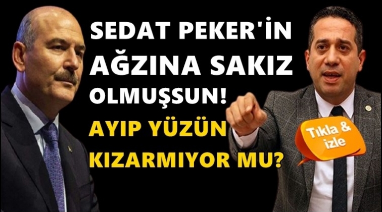 Başarır&rsquo;dan Soylu&rsquo;ya: Sedat Peker&rsquo;in ağzına sakız olmuşsun