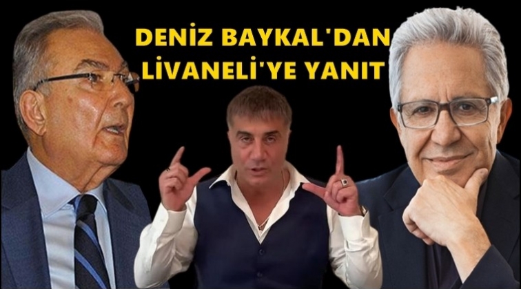 Baykal'dan Zülfü Livaneli'ye yanıt...