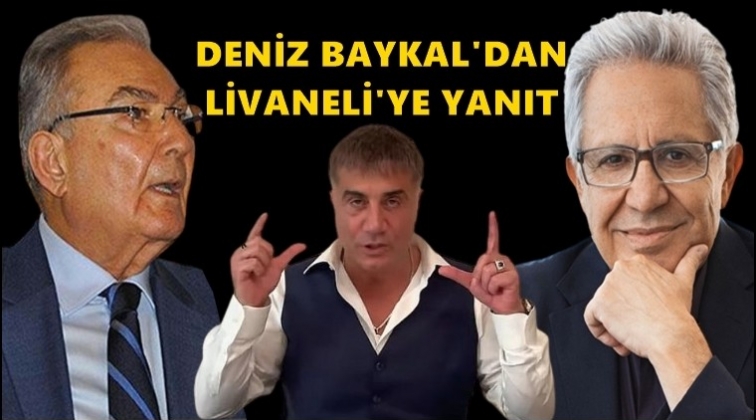 Baykal'dan Z&uuml;lf&uuml; Livaneli'ye yanıt...