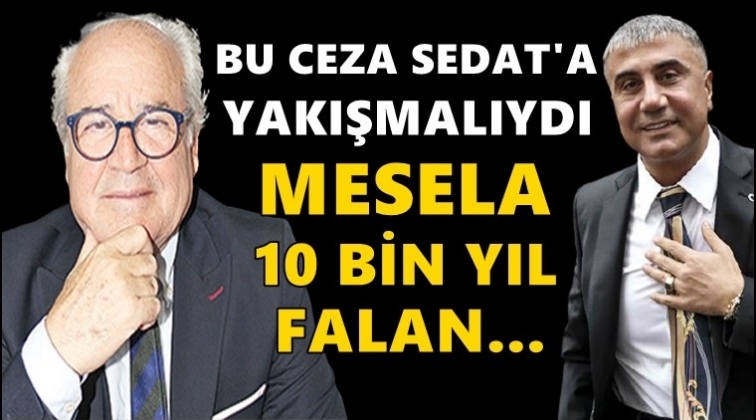 Bayraktaroğlu: Bu ceza Sedat Peker'e yakışmadı!