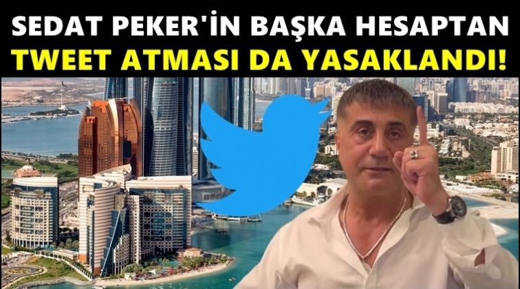 BEA'den Sedat Peker ile ilgili flaş karar!..