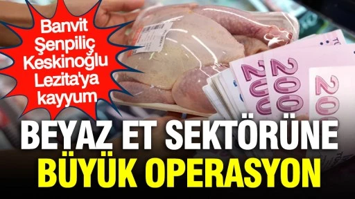 Beyaz et sekt&ouml;r&uuml;nde 13 şirkete kayyım atandı!