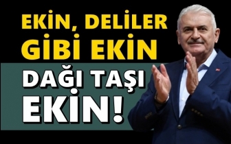 Binali Yıldırım: Deliler gibi ekin, dağı, taşı ekin!