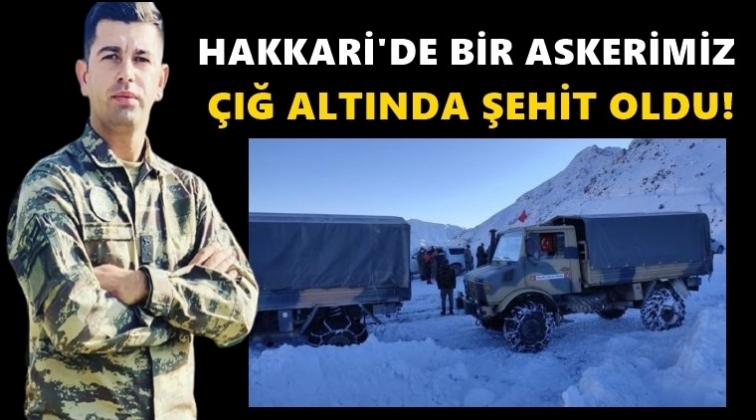 Bir askerimiz &ccedil;ığ altında kalarak şehit oldu